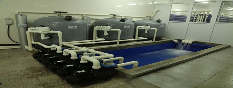 循環(huán)水泡沫怎么去除，循環(huán)水泡沫用什么消泡劑