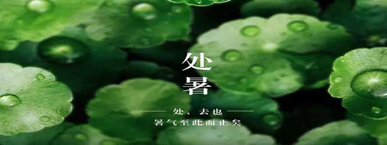 天上雙星合，人間處暑秋