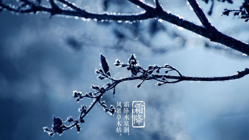 霜降碧天靜，秋事促西風(fēng)
