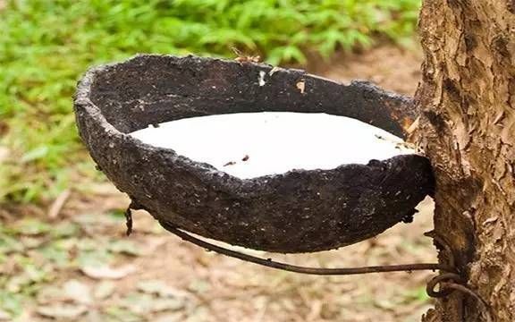 天然乳膠泡沫多是什么原因，有什么危害？
