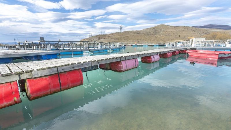 污水起泡沫，用什么方法去除泡沫？