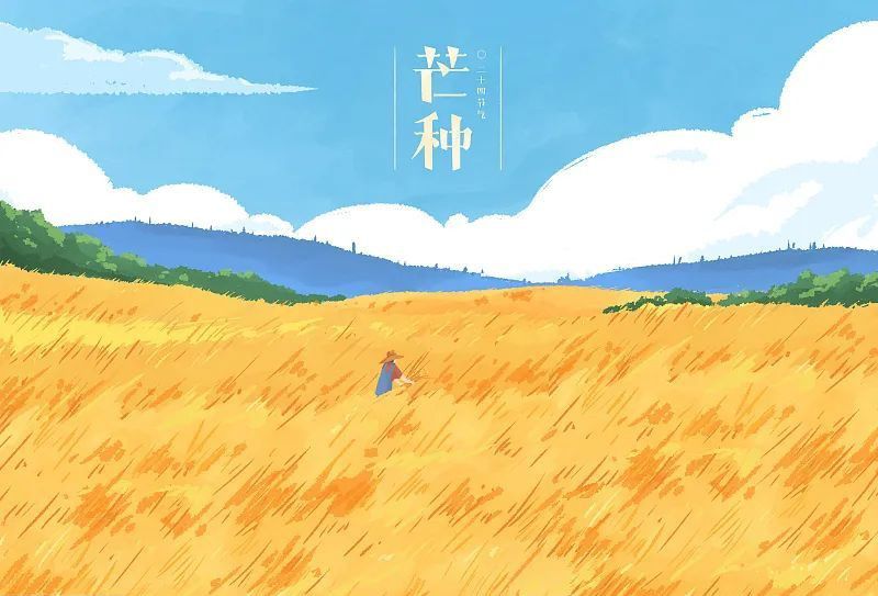 芒種看今日，蟬鳴夏始忙