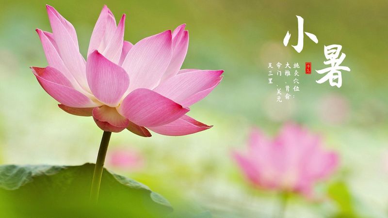 溫風(fēng)至，小暑到