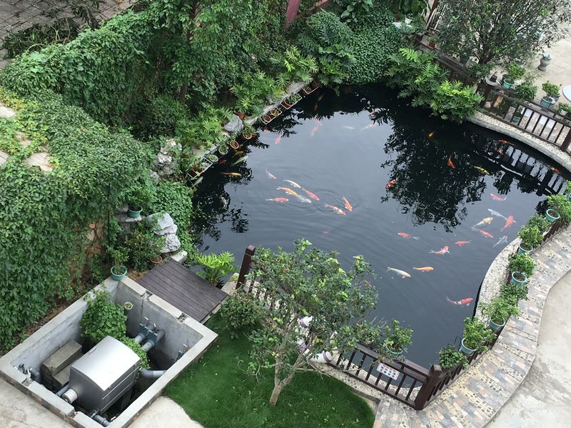 景觀池泡沫什么情況，怎么處理景觀池泡沫？