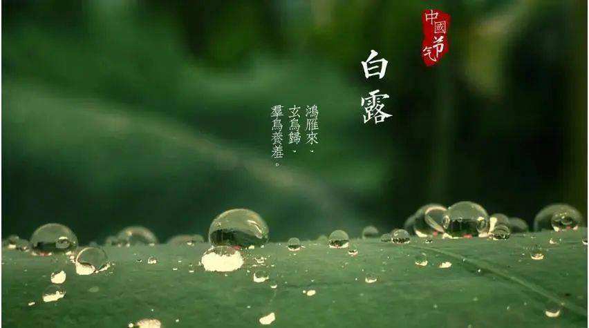 清風(fēng)至，白露生
