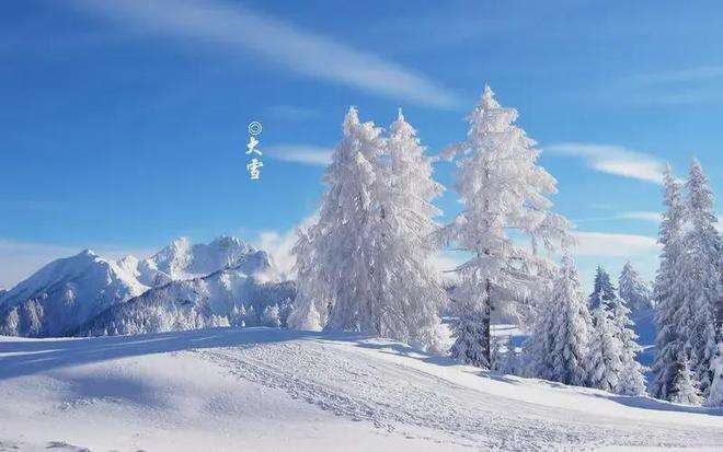 晨起開門雪滿山，雪晴云淡日光寒