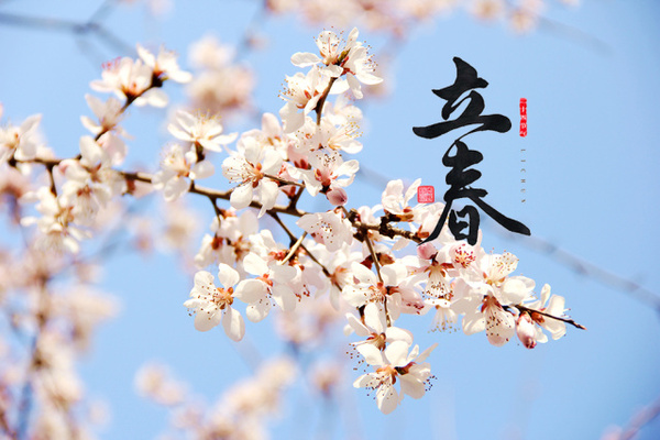 今年迎氣始，昨夜伴春回