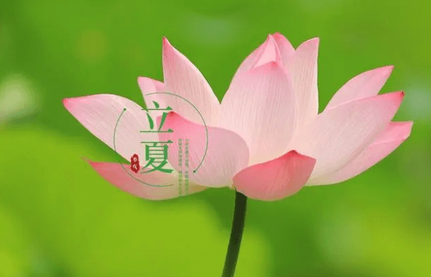 日斜湯沐罷，熟練試單衣